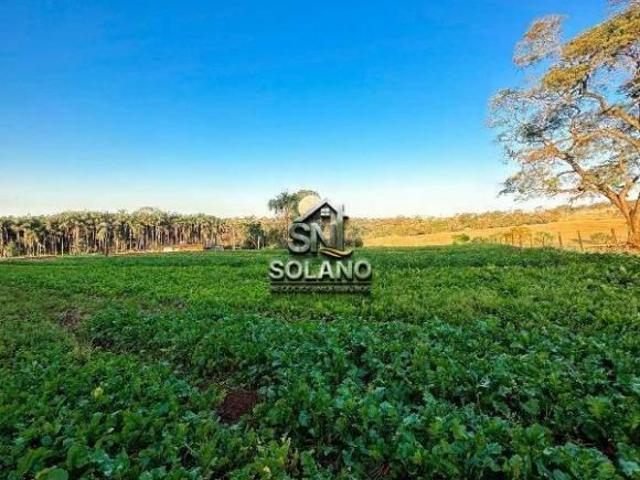 Sítio e chácara venda em Região Geográfica Imediata de Goiânia, Goiânia