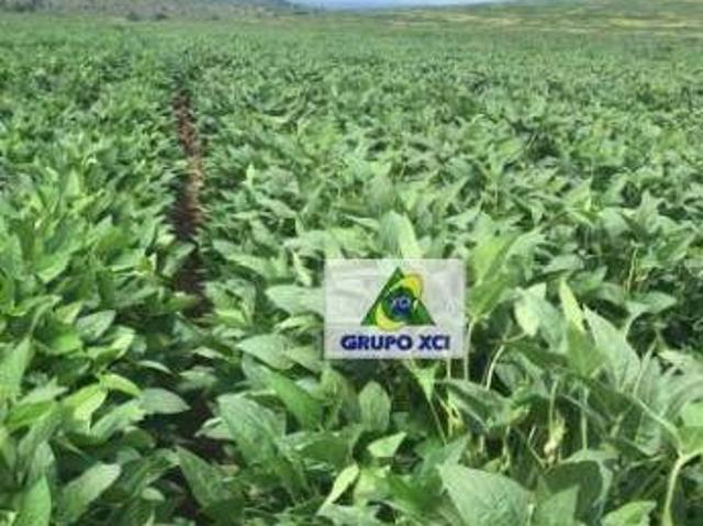 Sítio e chácara venda em Região Geográfica Imediata de Água Boa, Canarana