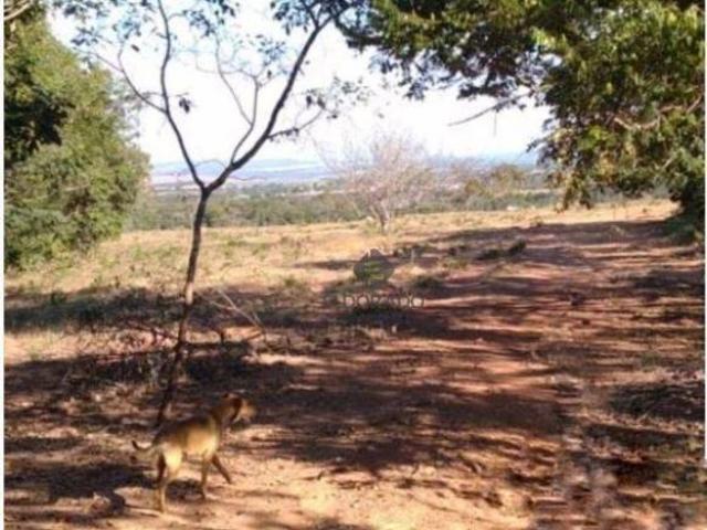 Sítio e chácara venda em Região Geográfica Imediata de Flores de Goiás, Região Integrada de Desenvolvimento do Distrito Federal e Entorno