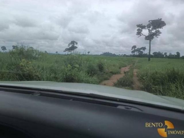 Sítio e chácara venda em Região Geográfica Imediata de Peixoto de Azevedo - Guarantã do Norte, Guarantã do Norte