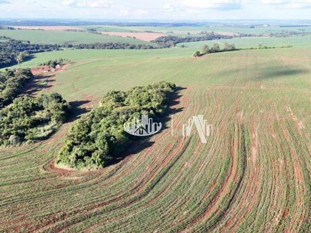 Sítio e chácara venda em Vila Popular, Cornélio Procópio