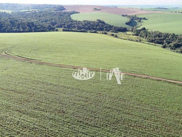 Sítio e chácara venda em Região Geográfica Imediata de Cornélio Procópio-Bandeirantes, Cornélio Procópio