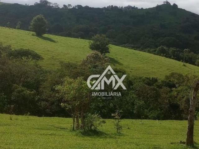 Sítio e chácara venda em Serra Fria, Sapopema