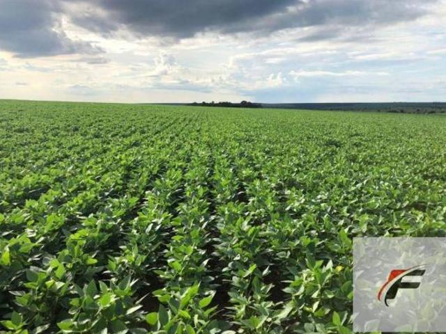 Sítio e chácara venda em Região Geográfica Imediata de Santo Antônio da Platina, Jacarezinho