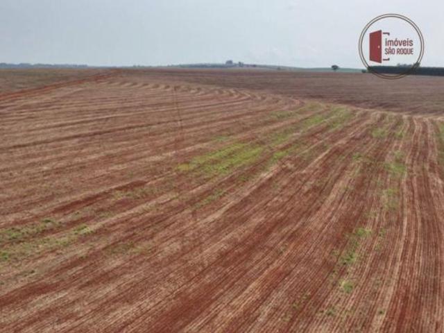 Sítio e chácara venda em Região Imediata de Piraju, Piraju