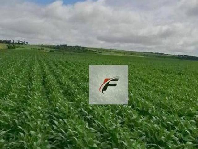 Sítio e chácara venda em Região Geográfica Imediata de Ponta Grossa, Ponta Grossa