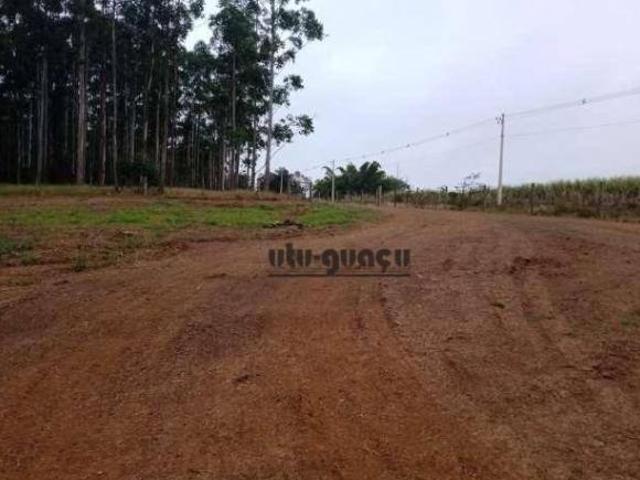 Sítio e chácara venda em Cesário Lange