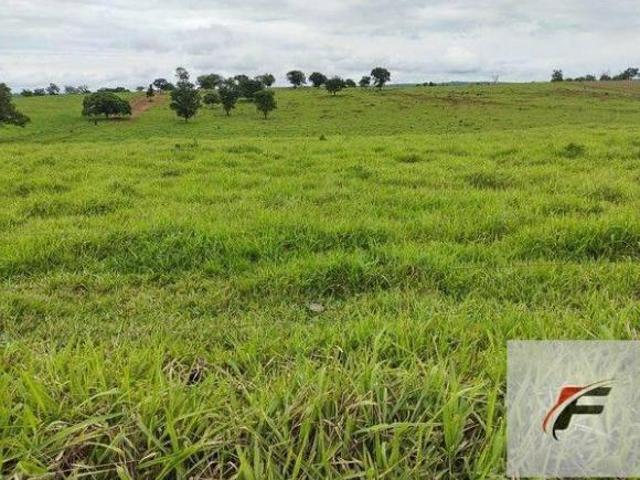 Sítio e chácara venda em Região Geográfica Imediata de Umuarama, Região Metropolitana de Umuarama