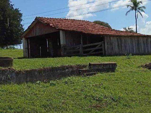 Sítio e chácara venda em Região Imediata de Marília, Região Sudeste