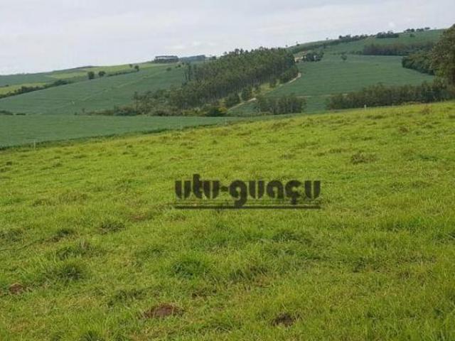 Sítio e chácara venda em Região Imediata de Itapeva, Itapeva