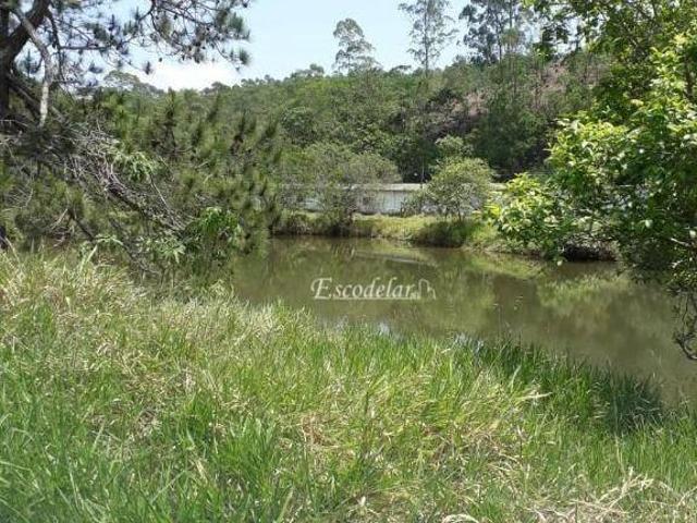 Sítio e chácara venda em Guareí