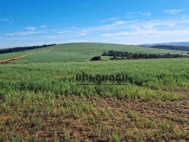 Sítio e chácara venda em Região Imediata de Itapeva, Itaberá