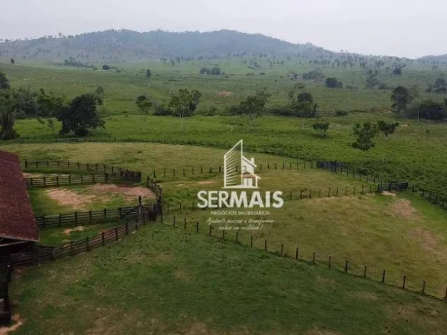 Fazenda venda em Região Geográfica Imediata de Ji-Paraná, Ouro Preto do Oeste
