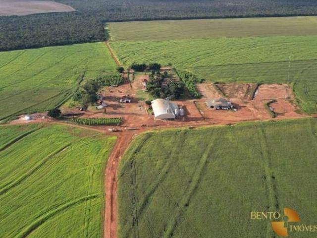 Sítio e chácara venda em Região Geográfica Imediata de Diamantino, Diamantino