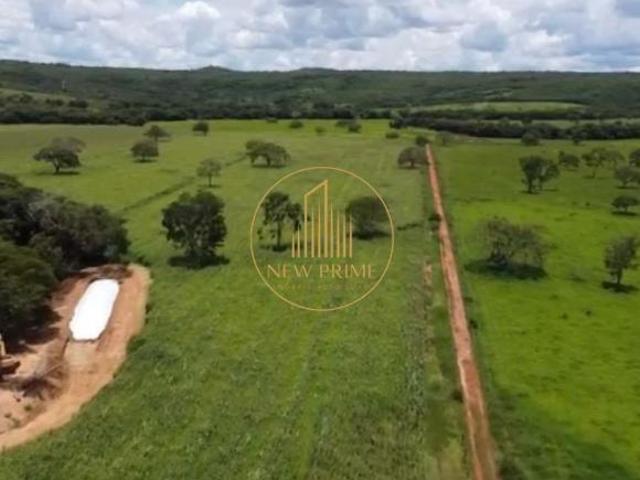 Sítio e chácara venda em Morro da Garça, Região Geográfica Intermediária de Belo Horizonte