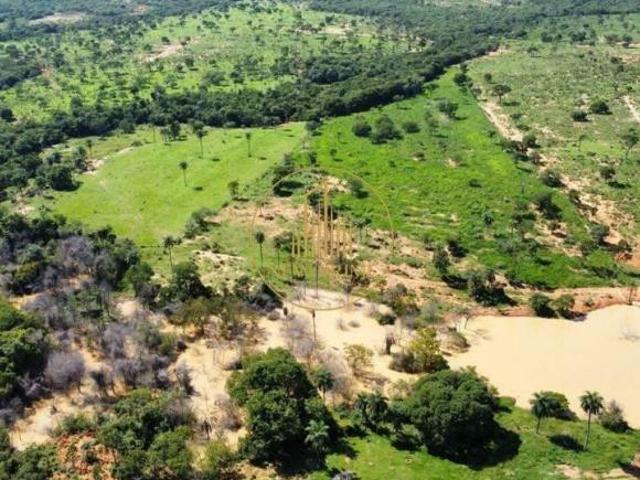 Sítio e chácara venda em Região Geográfica Imediata de Abaeté, Morada Nova de Minas