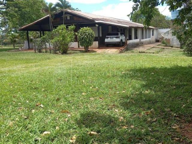 Sítio e chácara venda em Campo Grande