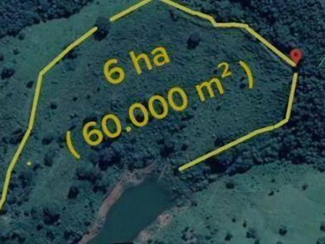 Sítio e chácara venda em Guapé, Região Geográfica Intermediária de Varginha