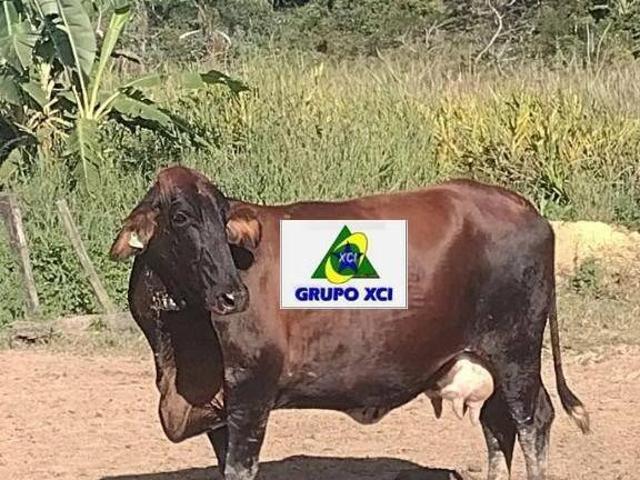Sítio e chácara venda em Região Imediata de Cruzeiro, Região Metropolitana do Vale do Paraíba e Litoral Norte