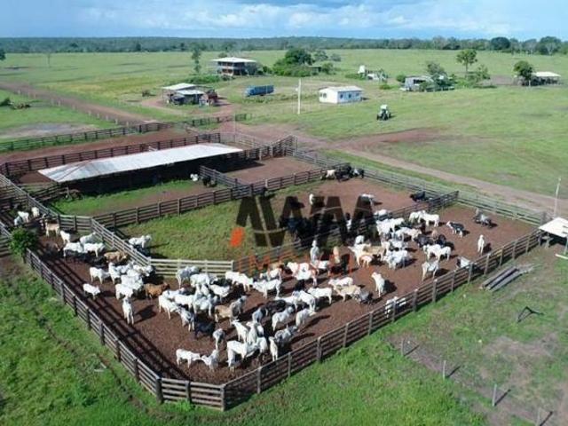 Sítio e chácara venda em Região Geográfica Imediata de Cuiabá, Planalto da Serra