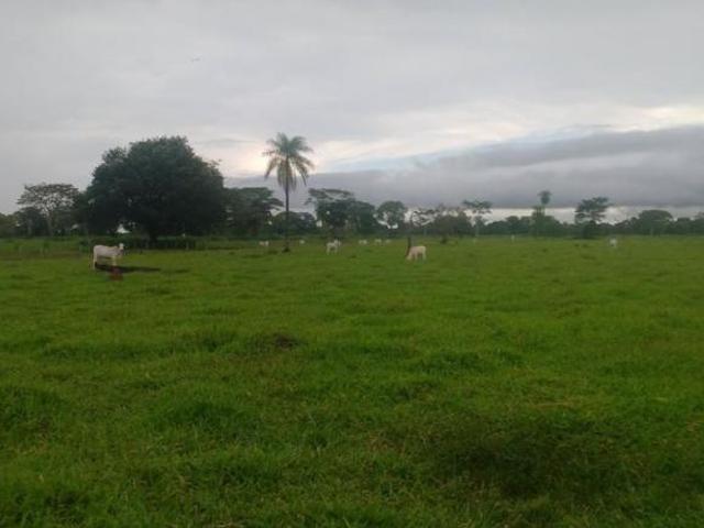 Sítio e chácara venda em Bataiporã, Mato Grosso do Sul