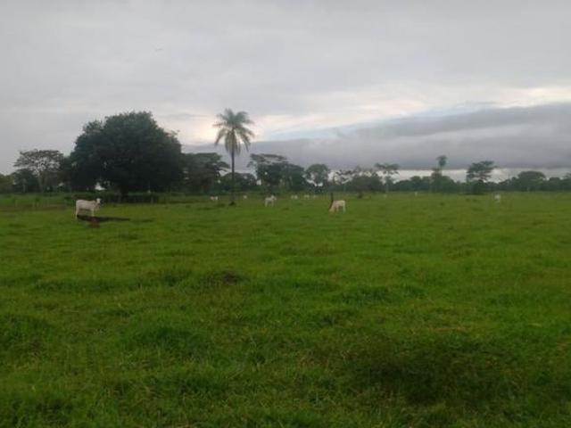 Sítio e chácara venda em Bataiporã, Mato Grosso do Sul
