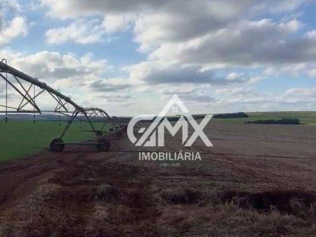 Sítio e chácara venda em Região Imediata de Piraju, Fartura