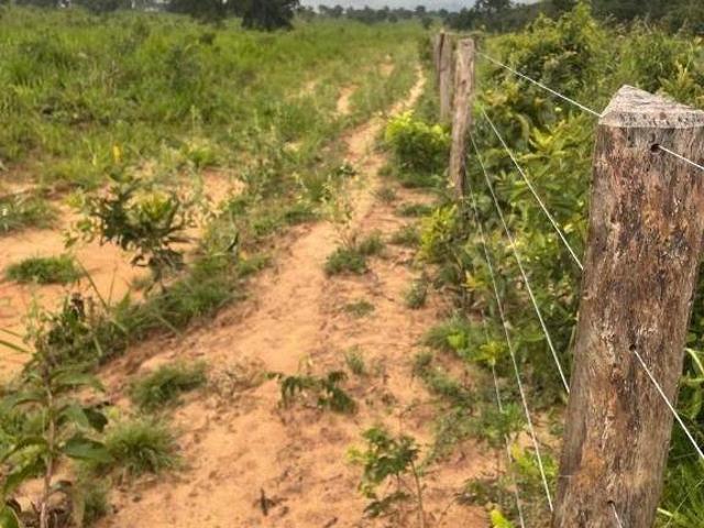 Sítio e chácara venda em Região Geográfica Imediata de Primavera do Leste, Poxoréo