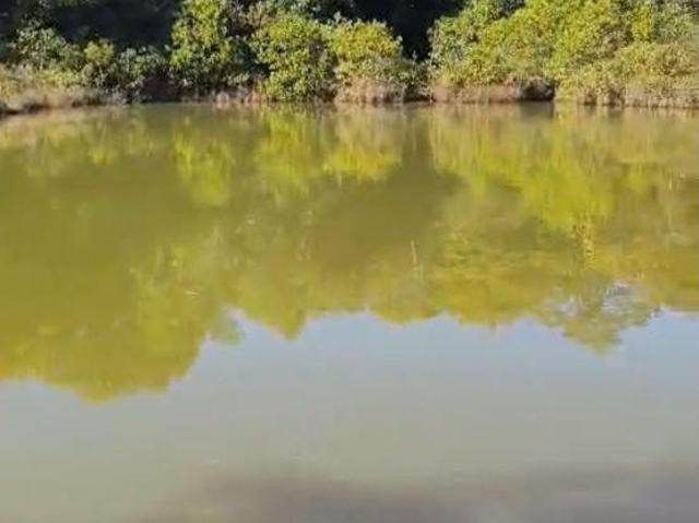 Sítio e chácara venda em Região Geográfica Imediata de Águas Lindas de Goiás, Região Integrada de Desenvolvimento do Distrito Federal e Entorno