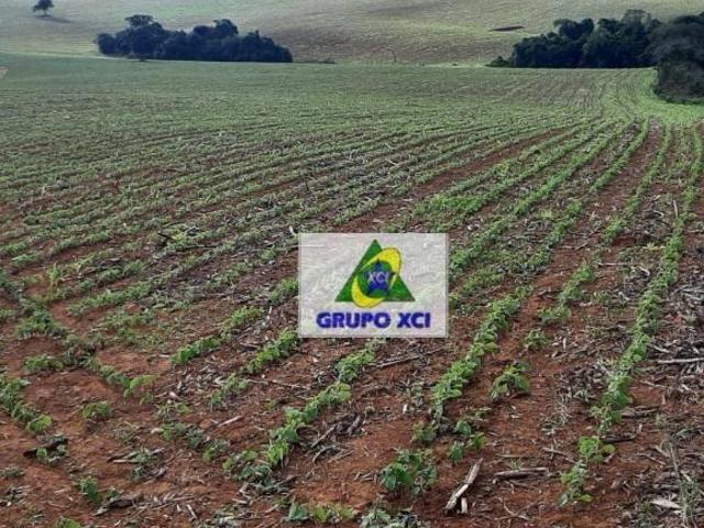 Sítio e chácara venda em Região Geográfica Imediata de Poços de Caldas, Santa Rita de Caldas