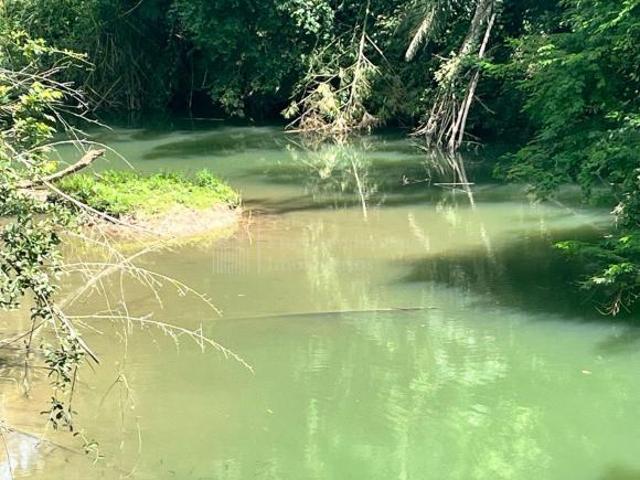 Sítio e chácara venda em Região Geográfica Imediata de Aquidauana - Anastácio, Miranda