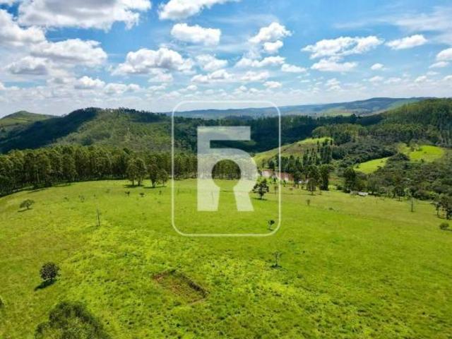 Sítio e chácara venda em Região Geográfica Imediata de Barbacena, Alfredo Vasconcelos