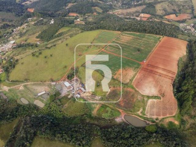 Sítio e chácara venda em Região Geográfica Imediata de Conselheiro Lafaiete, Conselheiro Lafaiete