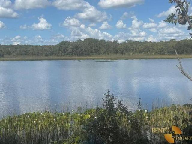Sítio e chácara venda em Região Geográfica Imediata de Cáceres, Antônio João