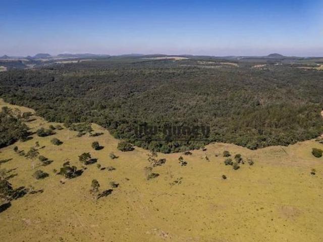 Sítio e chácara venda em Região Imediata de Botucatu, Botucatu