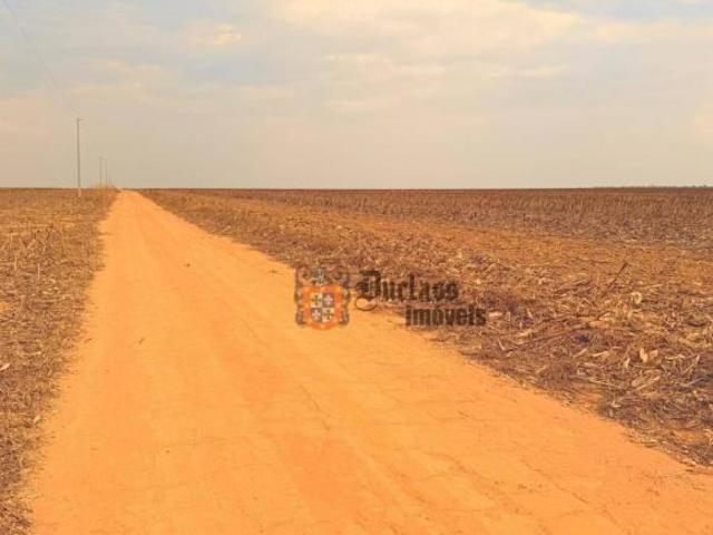 Sítio e chácara venda em Região Geográfica Imediata de Água Boa, Querência