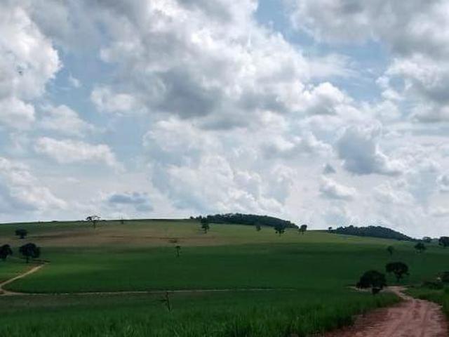 Sítio e chácara venda em Região Imediata de Ribeirão Preto, Região Metropolitana de Ribeirão Preto