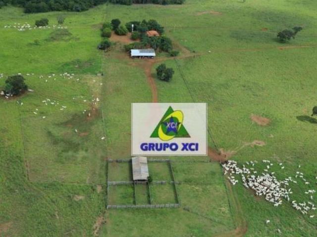 Sítio e chácara venda em Região Geográfica Imediata de Água Boa, Canarana