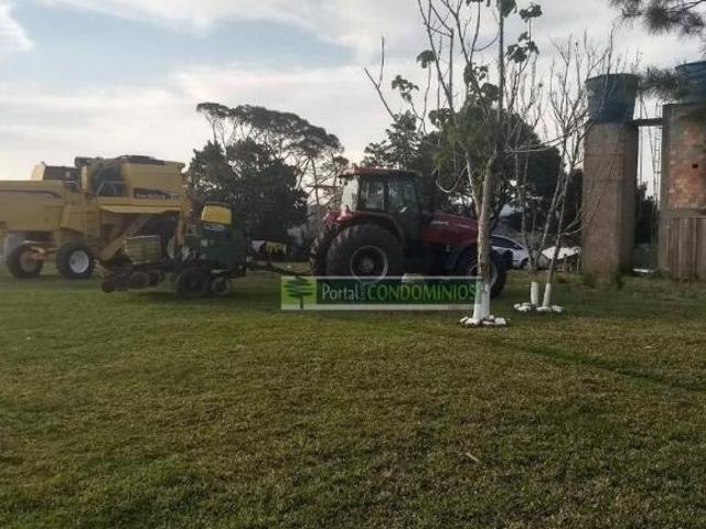 Sítio e chácara venda em Região Imediata de Bauru, Pederneiras