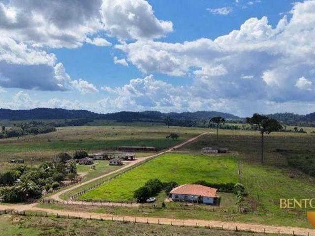 Sítio e chácara venda em Região Geográfica Imediata de Alta Floresta, Nova Bandeirantes