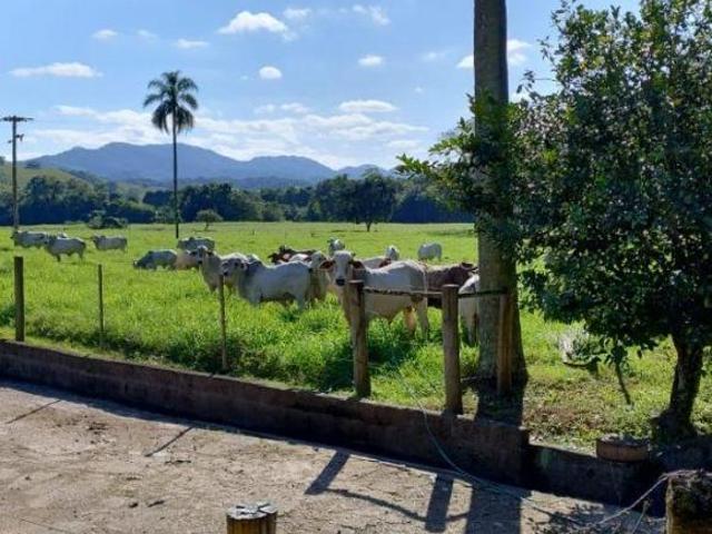 Sítio e chácara venda em Região Imediata de São Paulo, Região Metropolitana de São Paulo