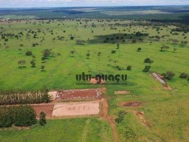 Sítio e chácara venda em Região Geográfica Imediata de Paranaíba - Chapadão do Sul - Cassilândia, Inocência