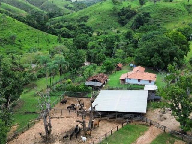 Sítio e chácara venda em Região Geográfica Imediata de Porangatu, Campinaçu