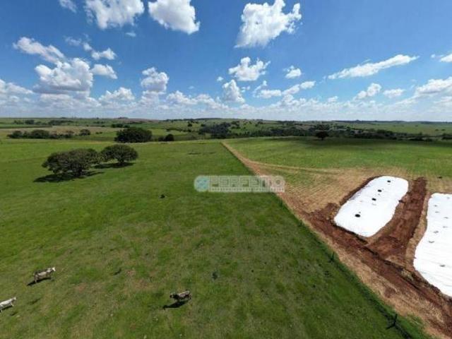 Sítio e chácara venda em Região Geográfica Imediata de Londrina, Jaguapita