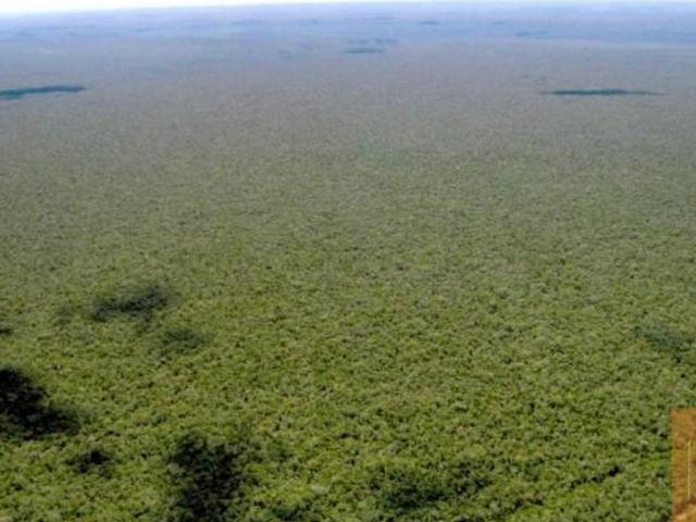 Sítio e chácara venda em Região Geográfica Imediata de Vacaria, Bom Jesus