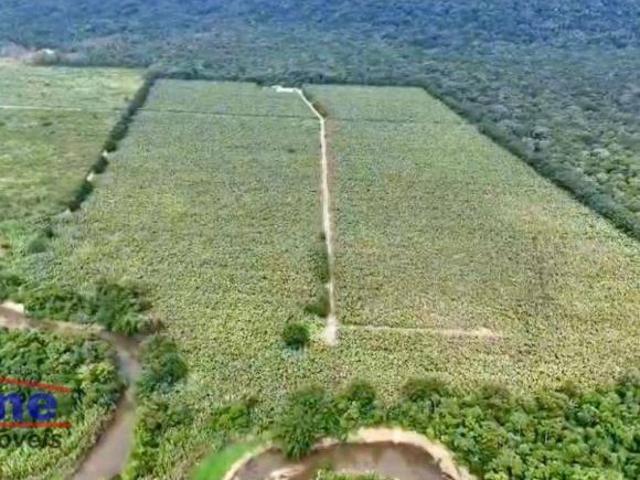 Sítio e chácara venda em Itanhaém