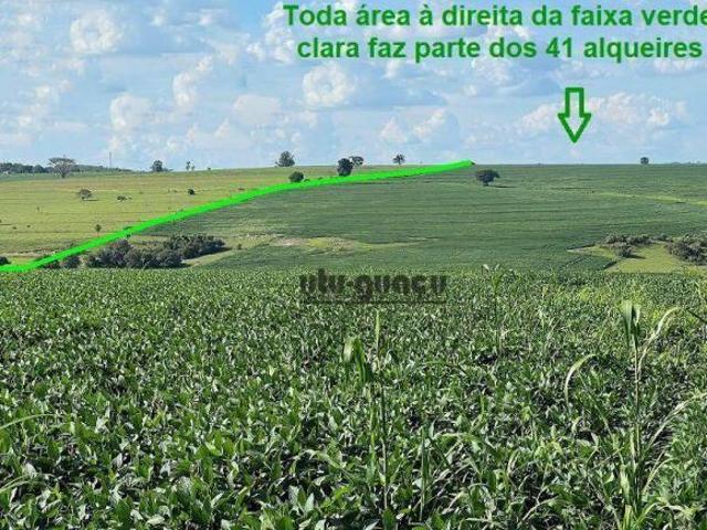 Sítio e chácara venda em Região Imediata de Ourinhos, São Pedro do Turvo