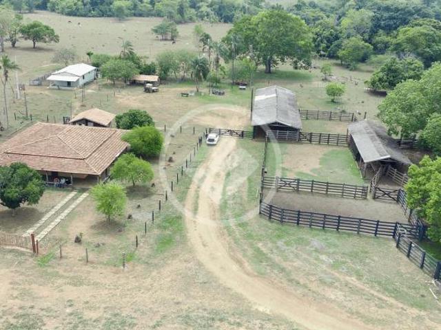Sítio e chácara venda em Região Geográfica Imediata de Diamantino, Diamantino