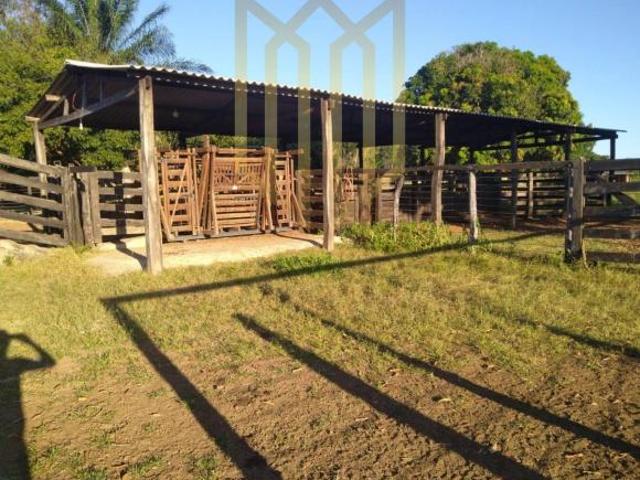 Sítio e chácara venda em Santo Antônio de Leverger, Região Geográfica Intermediária de Cuiabá