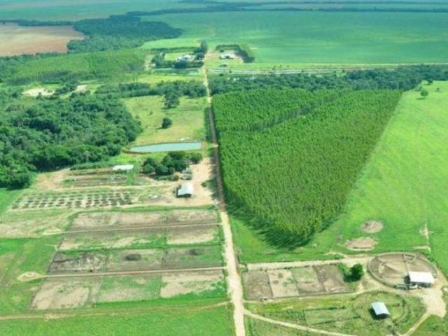 Sítio e chácara venda em Região Geográfica Imediata de Primavera do Leste, Primavera do Leste
